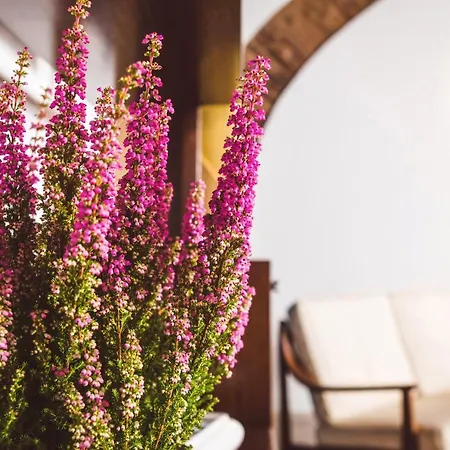 公寓 Trastevere Casa Renella 92